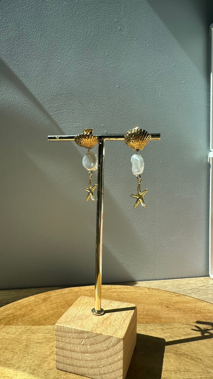 Boucles d’oreilles coquillages 🐚